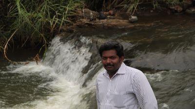 Dravidian stock