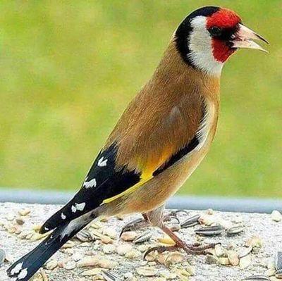 moezferhani's profile picture. 