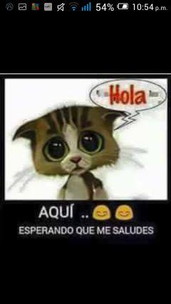 fernand84890536's profile picture. 