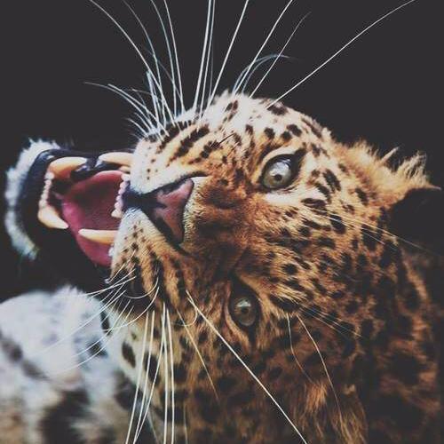 alive and well with things to tell..you are now landing on the outside part of the inside of my mind