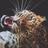 IntuitiveDigest's profile image