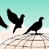 Animal navigation is one of the great mysteries...