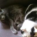 Cindy Newton - @f1fdf47373eb43d - Twitter