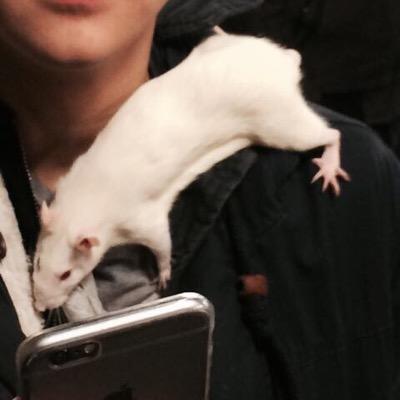 Sabrina De Rat Ratsabrina Twitter Sabrina De Rat Ratsabrina Twitter