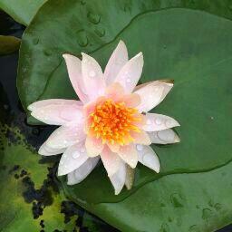 godhelp2005's profile picture. 