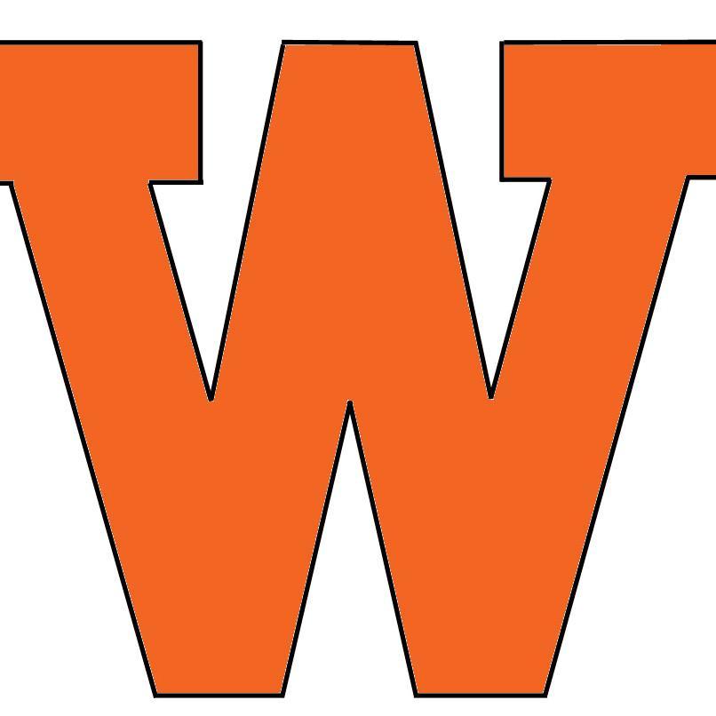 WDP Activities Profile