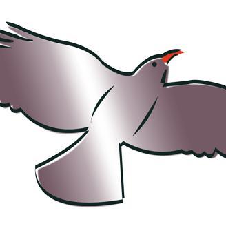 PembsOCG's profile picture. A group of 'like minded' people who share passion for adventure with love for the Pembrokeshire coast and its wildlife. Project by @PCFCIC