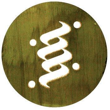 INI Movement Profile