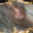 Muneera49961055's profile image