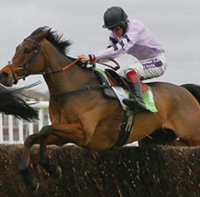 bewisebet's profile picture. Horse racing and football enthusiast, talk everything. Love a punt