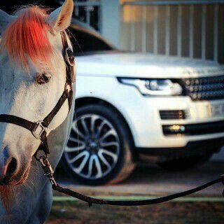 ‏- ‏‏‏آستٌغفَر آلُلُہ♡
-snapchat:ad_m7d