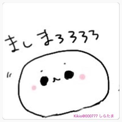 ねこちゃんだいすき いきものだいすき