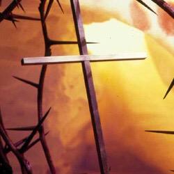 fallen_no_more's profile picture. 