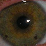 LeGlutz's profile picture. 