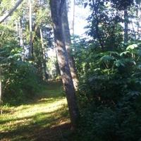 Moriarty (@thecroneysmm) 's Twitter Profile