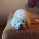 Isaac Llamas - @Kpunto_ - Twitter