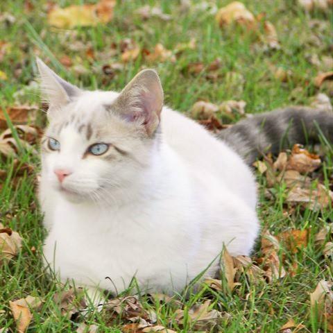 kitty68's profile picture. 