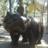 palouk's profile image