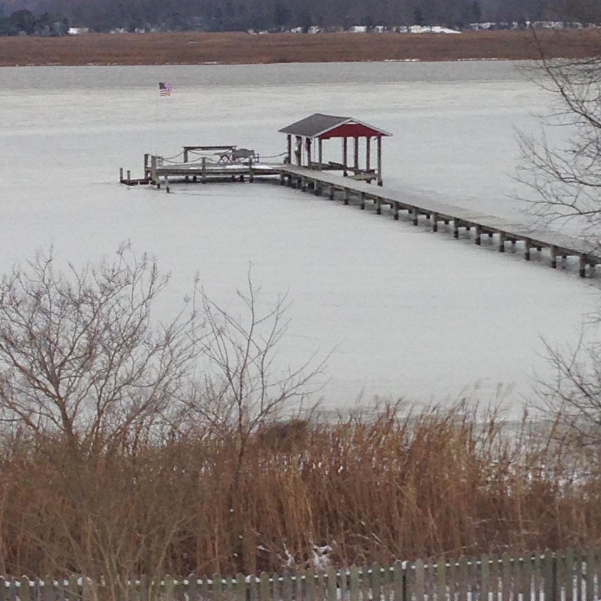 velvet_trull's profile picture. Realtor with ERA Real Estate Professionals