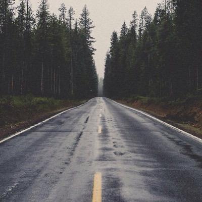 alaska949339391's profile picture. 