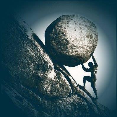 nedzad737's profile picture. 