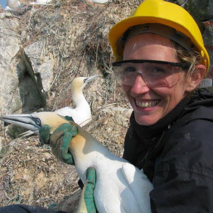 Marine spatial analyst at the British Antarctic Survey. Mostly working on chinstrap penguins GPS/TDR data