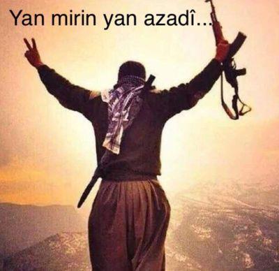 _amanda_hatlo_'s profile picture. folgt mir und ich folge euch zu 100%zurück!✌