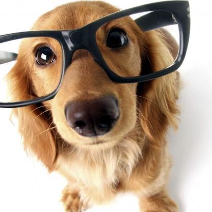 viktorgavrailov's profile picture. 