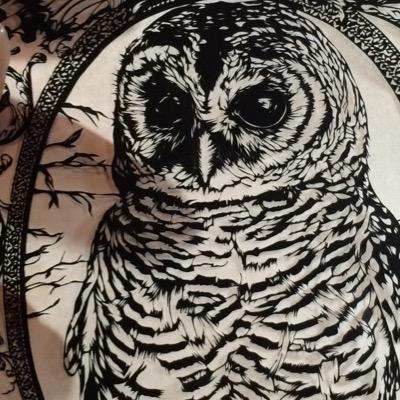 紗妃さんのプロフィール画像