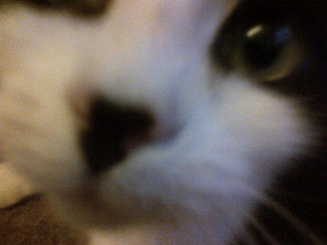 jules3009's profile picture. WATP!!!!!