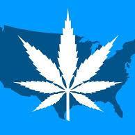 Win cash & prizes. Play for free.  Learn how to grow pounds Marujuana per plant, just like the professionals at http://t.co/reAWKgUwqB