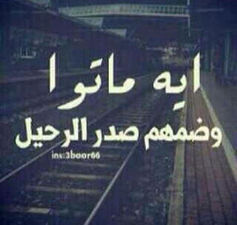 ‏‏‏‏‏‏‏‏‏‏‏‏‏‏‏‏‏‏آليـوم فوق الأرض وغداً تحتها سآمحوني وحللوني إذا أنقبضت روحي{آستغفرالله العظيمّ وأتوبُ إليه}انستقرامي اللي حاب يتابعني وكذا lo00ol__y