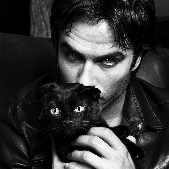 I do stupid things like fall in love with @SaphireMidnight, and torment @AbstruseValor. #DamonLogic #TeamBonnie  #BamonKing