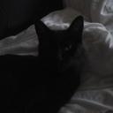 Evan GRAVES - @Le_Gameur57 - Twitter