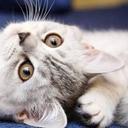 abel sifuentes - @abelsifuen - Twitter