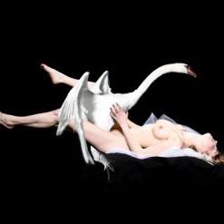 Krawkan's profile picture. 