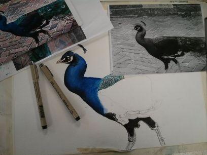 __Angeal__'s profile picture. 