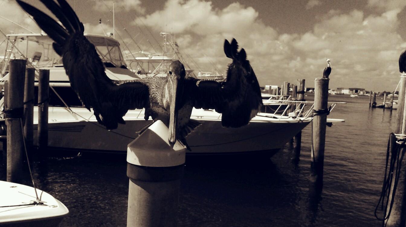 wonderingeye_99's profile picture. 