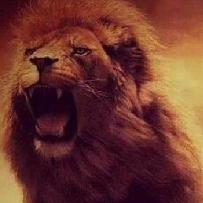 Nuevo enTwitter, trabajé en CFE y estudié en el Tecnológico de Mérida.