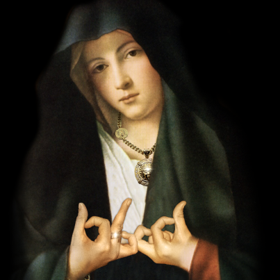 MadiScharman460's profile picture. 