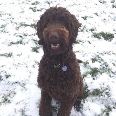 shaunieb0948's profile picture. 