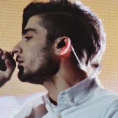 follow @Hazzabear1621