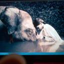 Connie Costa - @cmcosta06 - Twitter