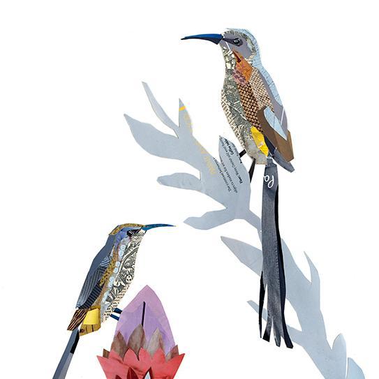 Collage Artist - I recycle found paper to create original collages. I live in Cape Town and have exhibited my work extensively in the UK and South Africa. 
I lo