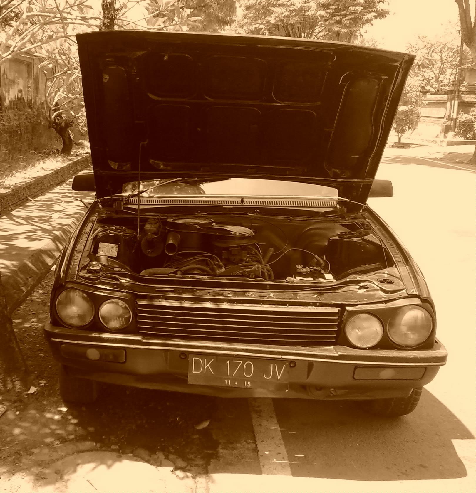 Dharma long 83