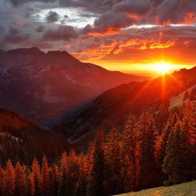 AmazingDiscove3's profile picture. 