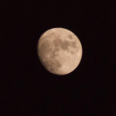 Photographer covering Sussex and beyond. Shameless #Sony and #DJIMavic user! Contact me for any enquiries or bookings at simon@strandphotography.co.uk