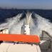 Rhea Marine NL (@rhea_marine) Twitter profile photo