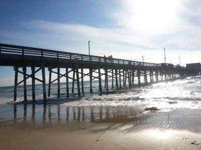 scochow's profile picture. 