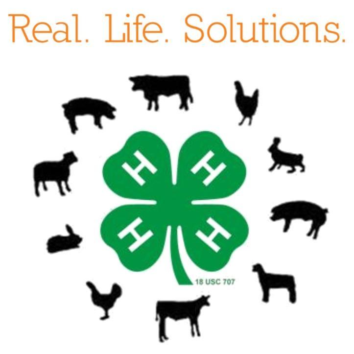 We provide educational programs and research based information in Agriculture, 4-H, and Family and Consumer Sciences to the residents of Marion County.